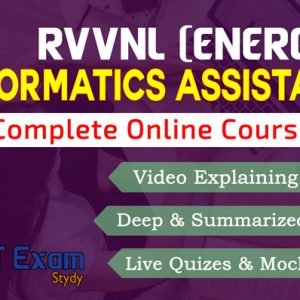 RSMSSB Informatics Assistant (IA) – Hindi Course